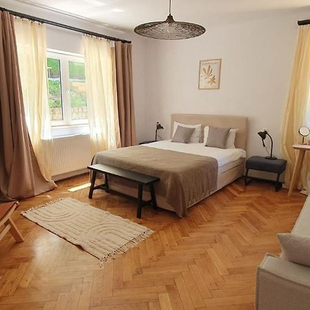 The Pines Serviced Apartments Brasov Exterior photo