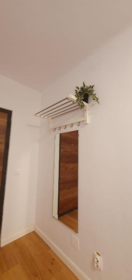 The Pines Serviced Apartments Brasov Exterior photo