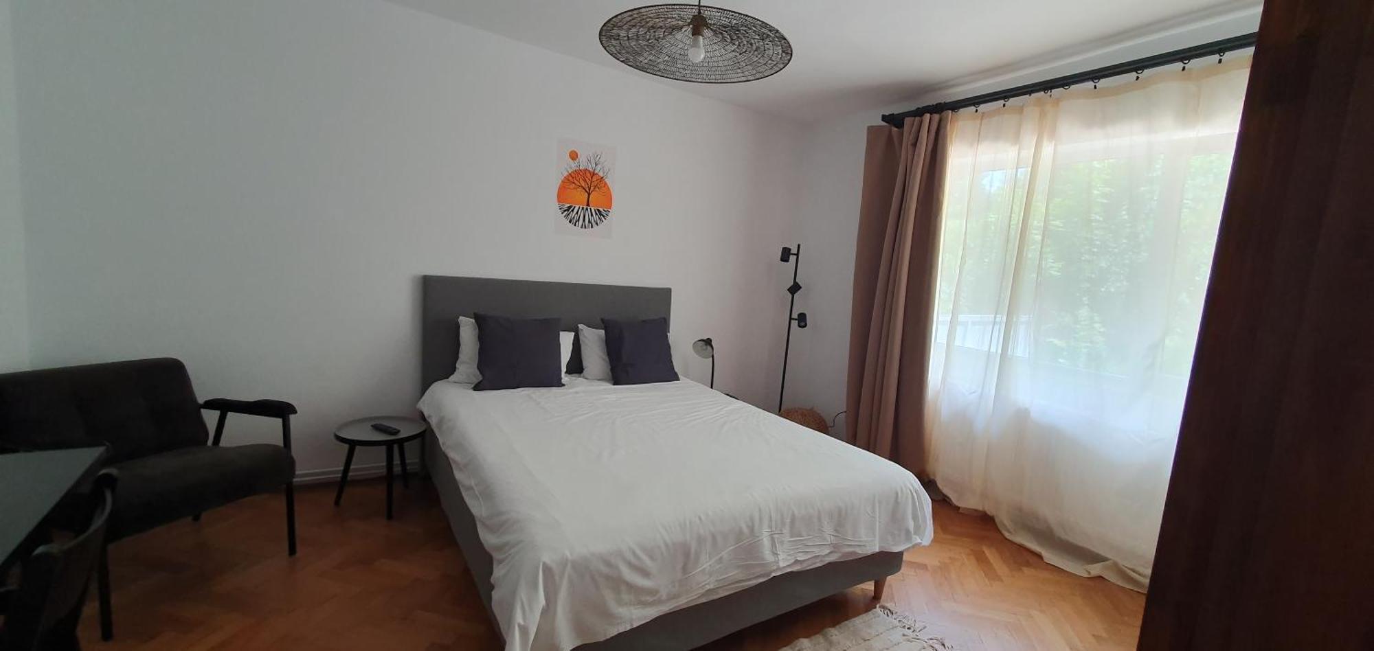 The Pines Serviced Apartments Brasov Exterior photo